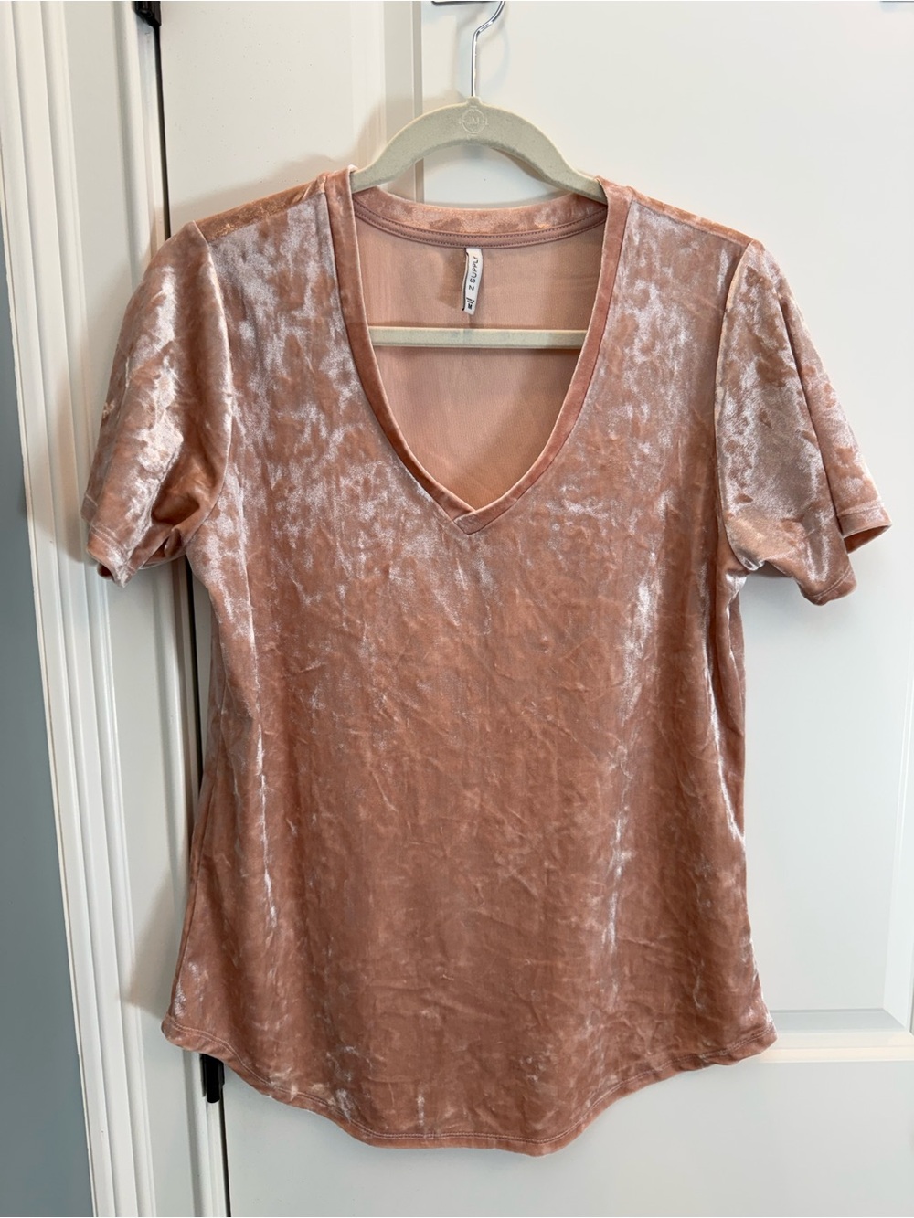 Z Supply Velour V-Neck Tee in Dusty Rose